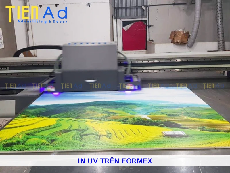 In UV trên formex