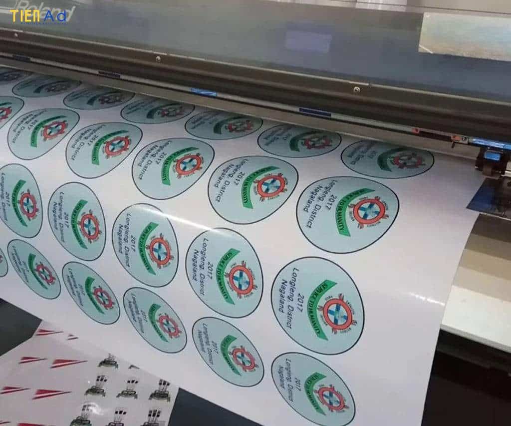 dịch vụ in PP khổ lớn